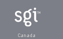 sgi_logo_us.gif (710 bytes)